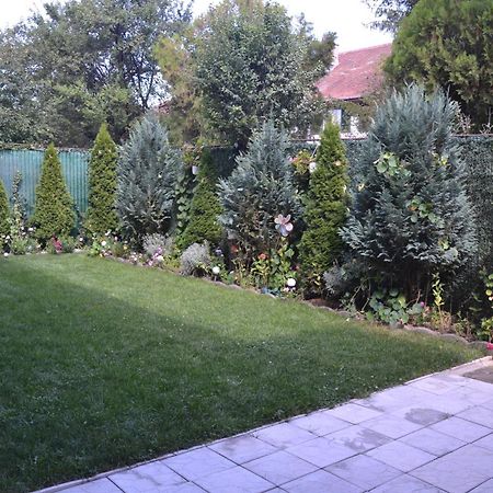 Gavri'S Relaxing Place Brasov Bagian luar foto
